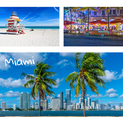 Mini Travel Book in United States