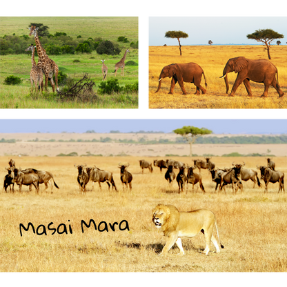 Mini Travel Book in Kenya