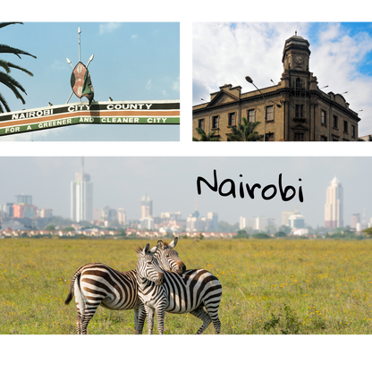 Mini Travel Book in Kenya